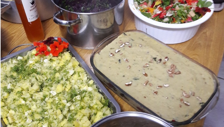 Imagem mostra pratos preparados com plantas alimentícias não convencionais