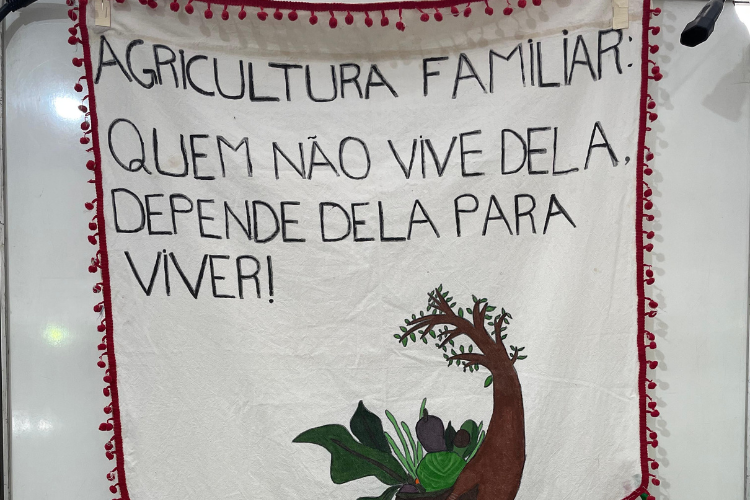 Incubadora analisou comercialização e perfil socioeconômico dos participantes, reforçando o compromisso com a construção de conhecimento sobre agricultura familiar