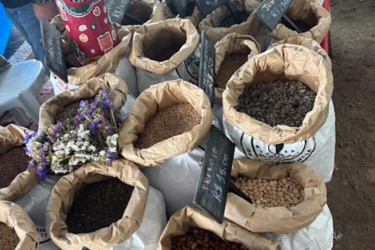 Incubadora coletou dados para o apoio à pequena produção e o desenvolvimento regional