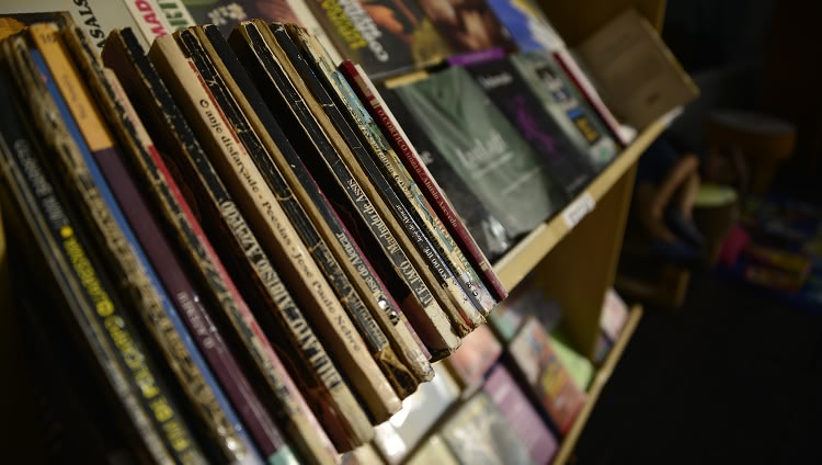 Na foto aparecem livros dispostos em uma prateleira. Os livros à esquerda aparecem com foco e os que estão à direita na imagem estão desfocados. 