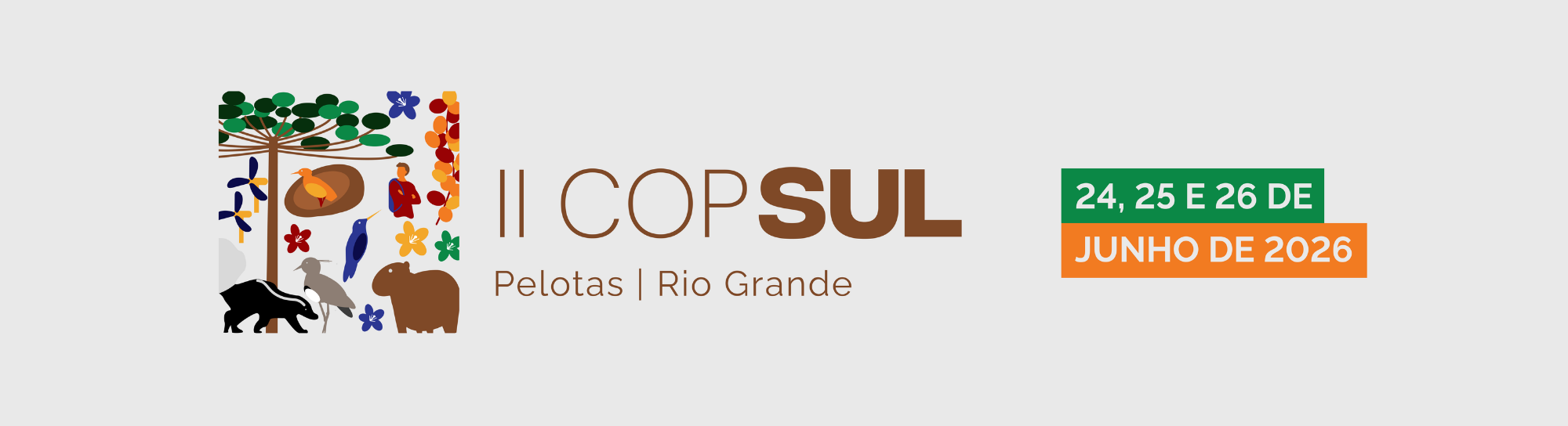 2º COPSul